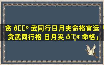 贪 🌺 武同行日月夹命格官运「贪武同行格 日月夹 🦢 命格」